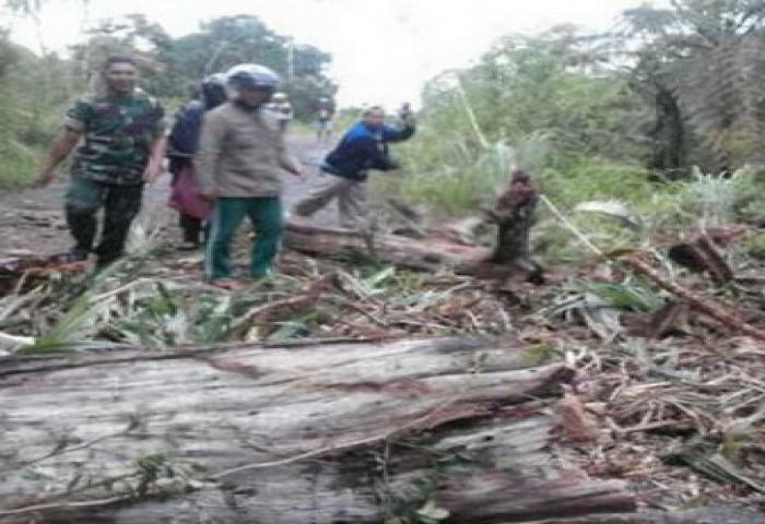 Hujan Deras Kembali Lumpuhkan Transportasi Pulau Timor